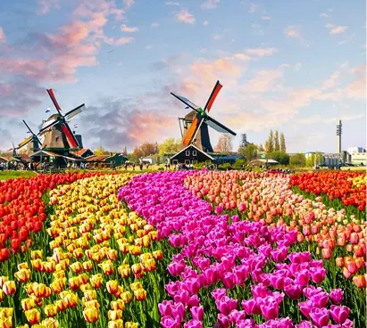 Netherlands Coach Hire