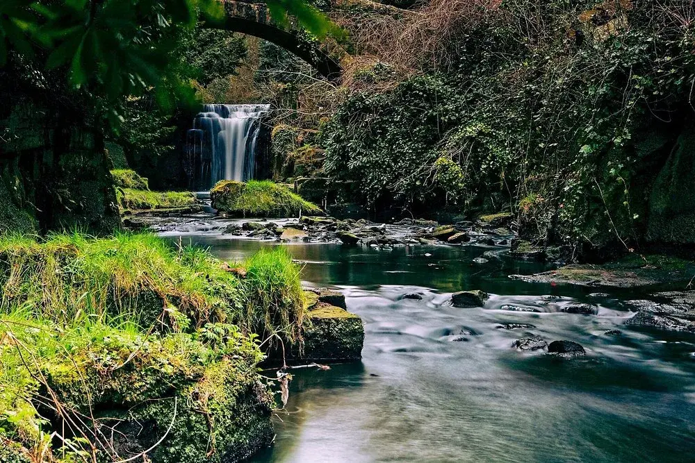 Jesmond Dene in Newcastle