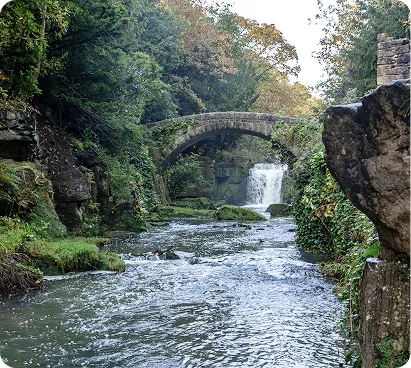 Jesmond Dene